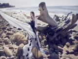 Britni Alleman-DeLorenzi - Mermaid Lagoon